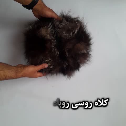 کلاه روسی روباه آرژانتینی بی نظیر