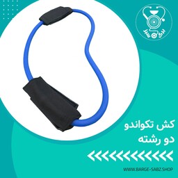 کش پیلاتس ، کش تکواندو 2رشته ، کش حرکات توانبخشی کش ورزشی خانگی موجود در فروشگاه اینترنتی برگ سبز