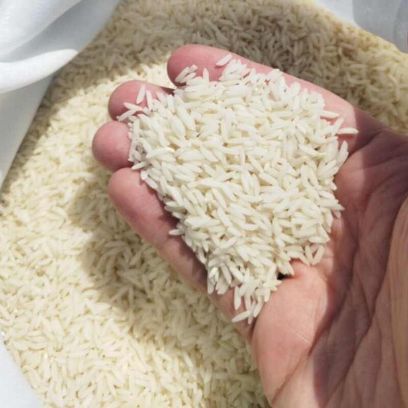 برنج طارم هاشمی کشت دوم مرغوب شمال در بسته 10 کیلویی در 