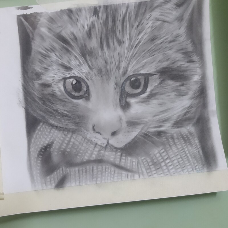 نقاشی گربه سیاه قلم 