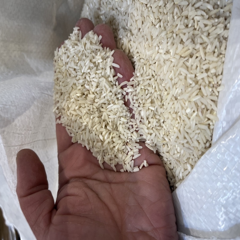 برنج سرلاشه طارم عطری محلی درجه یک