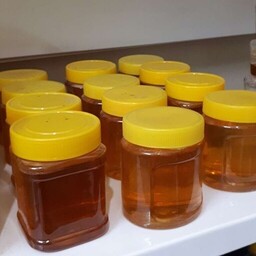عسل یک کیلویی کنار طبیعی (مستقیم از زنبور دار) کیفیت تضمینی 