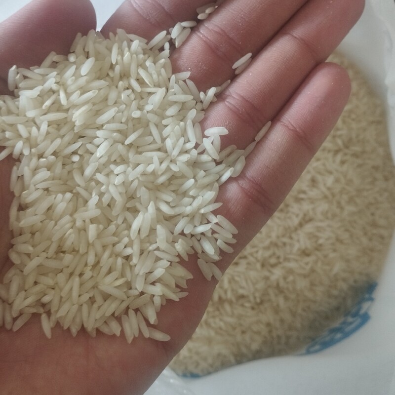 برنج کشت دوم اعیونی فریدونکنار (نمونه یک کیلویی)