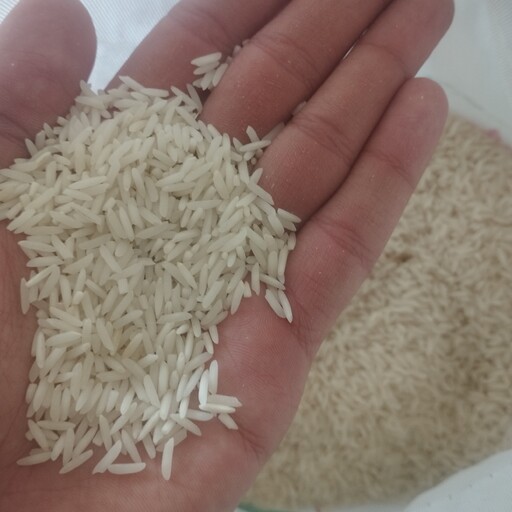 برنج طارم درجه یک فریدونکنار (نمونه یک کیلویی)