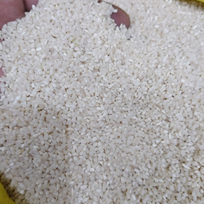 برنج عنبربو نیم دانه شوشتر 