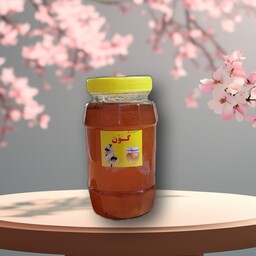 عسل گون اصل و خالص درجه یک بسته یک کیلوگرمی