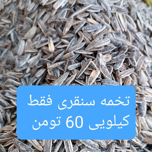 تخمه آفتابگردان بسته یک کیلویی فقط 60 تومن  طعم لیمویی و ساده  