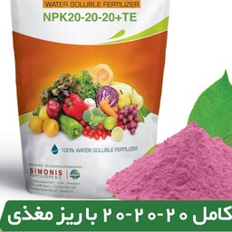 کود شیمیایی پودری NPK 20 20 20 سه بیست بسته (10 گرمی).
