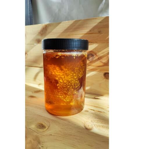 عسل موم دار ( چند گیاه تغذیه ) یک کیلوگرمی 