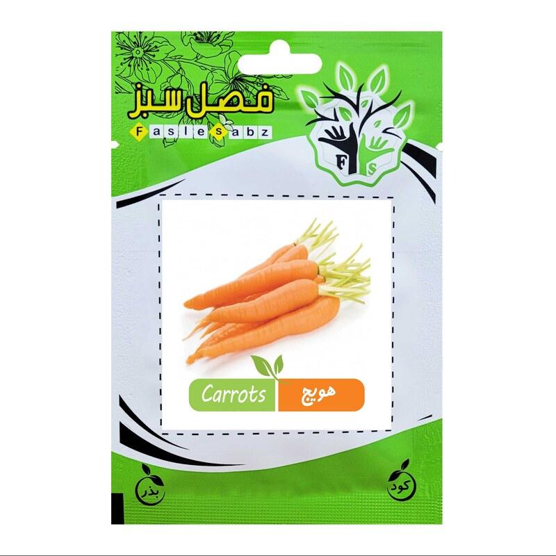 بذر هویج فرنگی فصل سبز کد SEED-022