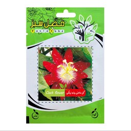 بذر گل ساعتی رونده زرشکی فصل سبز کد FSSEED-040