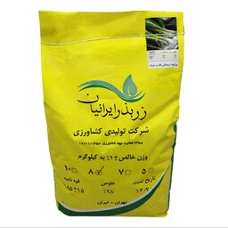 بذر پیازچه اردستانی زربذر ایرانیان کیسه 8 کیلو گرمی