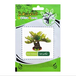 بذر نخل سیکاس زامیا فصل سبز کد FSSEED-042