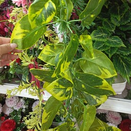 گل مصنوعی پتوس ریسه پتوس مصنوعی قدکار180مشابه طبیعی
