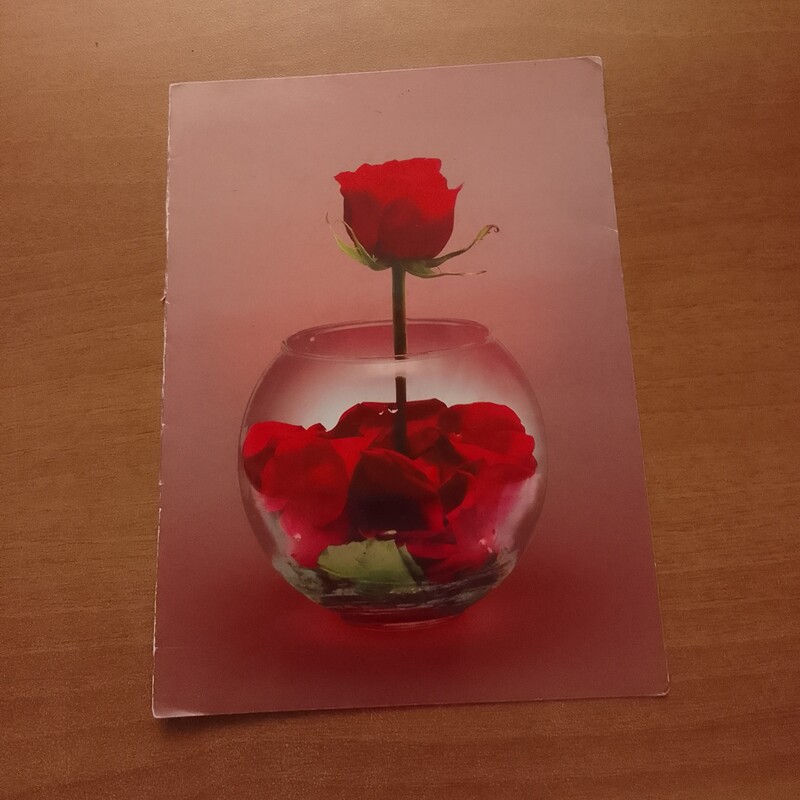 کارت پستال گل رز قرمز زرشکی گلدار 20در15 کارت تبریک