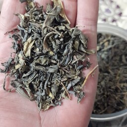 چای سبز ایرانی درجه یک در بسته های500گرمی ارسال در مشهد رایگان