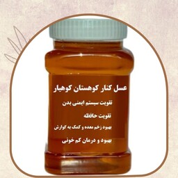 عسل طبیعی  کنار  یک  کیلویی ( خرید از زنبوردار)  ارسال رایگان  