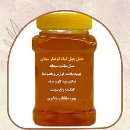 عسل طبیعی چهل گیاه یک کیلویی (خرید از زنبوردار)  ارسال رایگان 