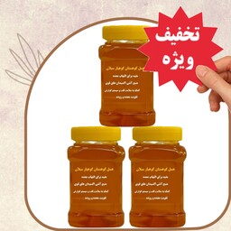 عسل طبیعی کوهستان سه کیلویی (ساکارز زیر یک درصد ) تخفیف ویژه ارسال رایگان 