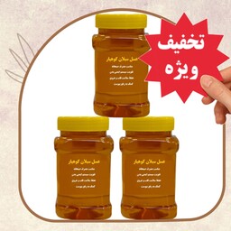 عسل سبلان ( 3 کیلویی) قیمت عمده ارسال رایگان و فوری
