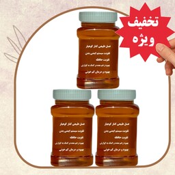 عسل طبیعی کنار سه کیلویی ( خرید از زنبوردار) ارسال رایگان تخفیف ویژه