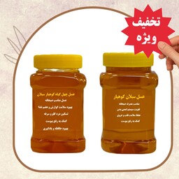 عسل صبحانه ( یک کیلو عسل سبلان و یک کیلو عسل چهل گیاه) ارسال رایگان تخفیف ویژه 