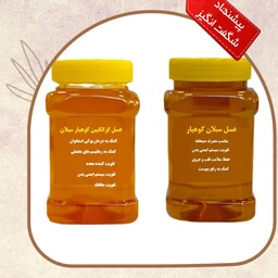عسل ساکارز زیر یک درصد مناسب افراد دیابتی و عسل صبحانه ( یک کیلو عسل گزانگبین و  یک کیلو عسل سبلان) ارسال رایگان 