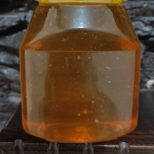عسل طبیعی پاییزه ی کبیرکوه (250) گرمی