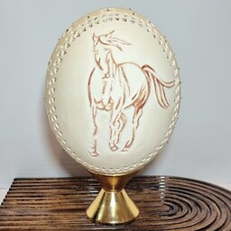 کلکسیونی حکاکی طرح اسب و ستاره روی تخم شتر مرغ کلکسیونی (تک نسخه)