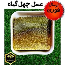 عسل چهل گیاه باموم شفاهیر(1 کیلوگرم)(خرید مستقیم از زنبوردار)(ارسال فوری)