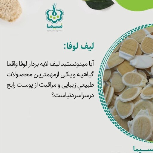 لیف بدن طرح بیضی یک طرفه لوفا نسیما