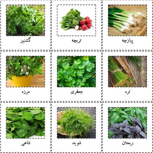 پک 10 عددی بذر سبزیجات بسته بندی کوچک کد 1