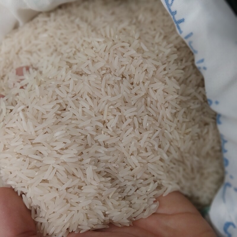 برنج فجر چابکسر