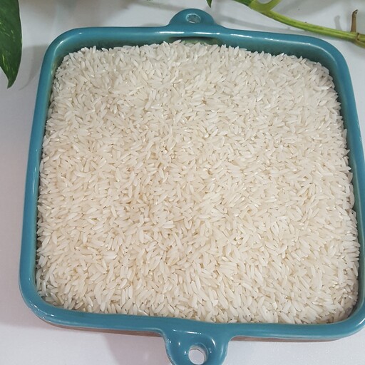 برنج علی کاظمی اعلا ، پاک شده توسط دستگاه سورتینگ ، صد درصد خالص ، امساله ، خوش طعم و خوش بو ، 20 کیلوگرم