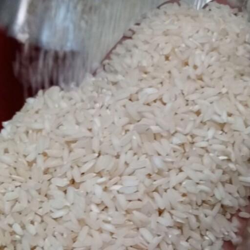 برنج چمپا محلی میداوود خوزستان