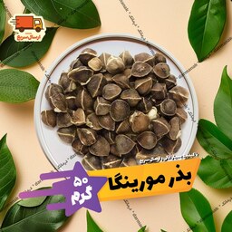 بذر مورینگا 50 گرمی کیفیت درجه یک و ممتاز