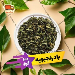 بادرنجبویه (ملیس) بسته 100 گرمی با کیفیت عالی 