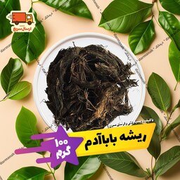 ریشه باباآدم اصل بسته 100 گرم با کیفیت عالی