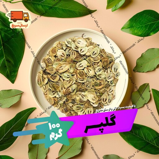 گلپر درشت بسته 100 گرم با کیفیت عالی (نساییده) 