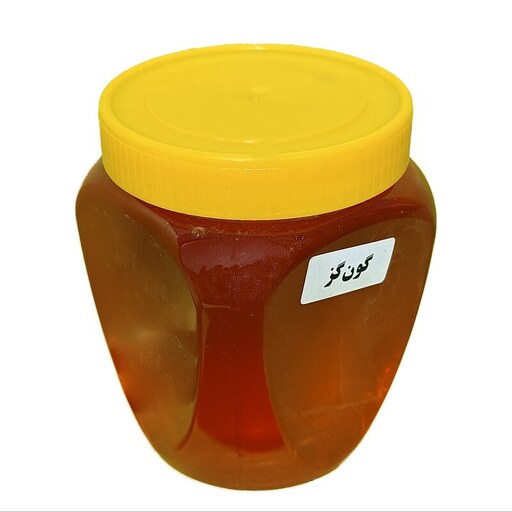 عسل گون گز  و عسل یونجه فدک 1کیلویی  طبیعی