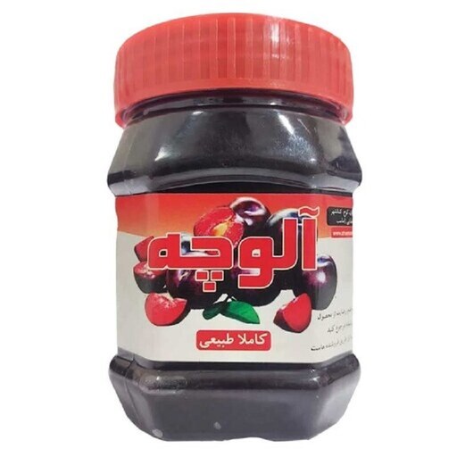 رب آلوچه ممتاز ژاماسب شهریار - 480گرمی