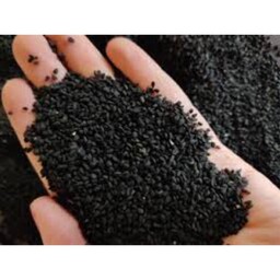 سیاه دانه 40 گرمی برسادکاملا تمیز و بسته بندی با مجوز بهداشتی