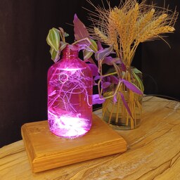 استند گلدان شیشه ای با لامپ 5وات مناسب پرورش قلمه گل 
