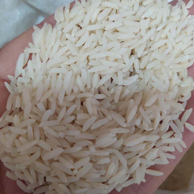 برنج دودی گیلان 