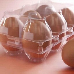تخم مرغ گلپایگانی vitalux دربسته بندی 6 و 9 عددی وبه صورت عمده غنی شده با ویتامین E و سلنیوم به صورت تضمینی به کل ایران 