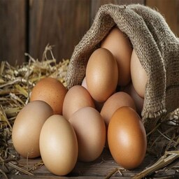 تخم مرغ محلی ارگانیک بسته 9 عددی
