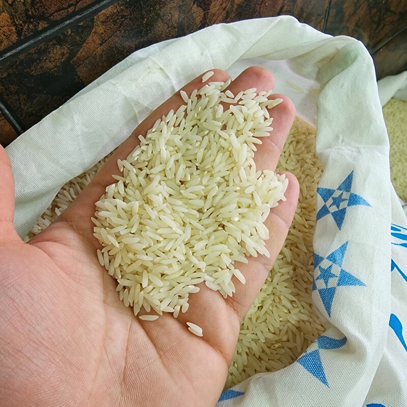 برنج هاشمی مرغوب کشت دوم ساداتی