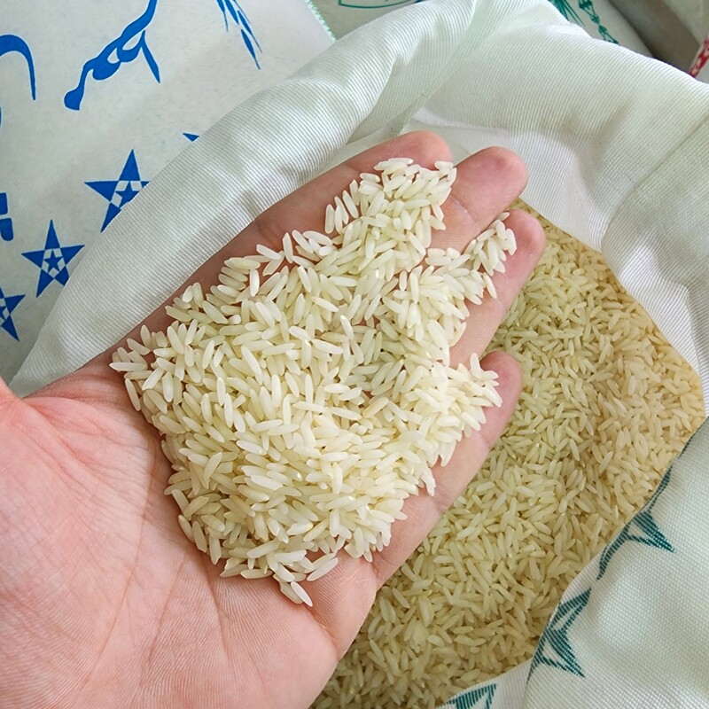 برنج کشت دوم خوشه زرین محمدی (در بسته بندی 10 کیلویی)