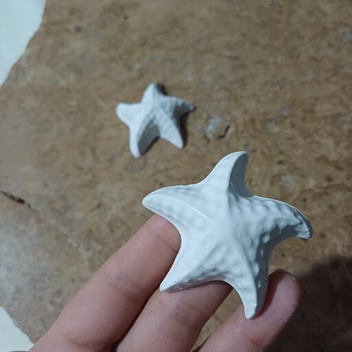 بیس خام ستاره دریایی کوچک