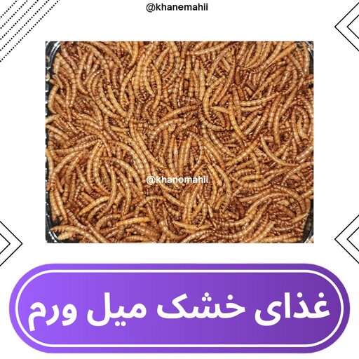 غذای ماهی آکواریوم کرم میل ورم(مناسب چانا،ماهیان گوشتخوار و ...)